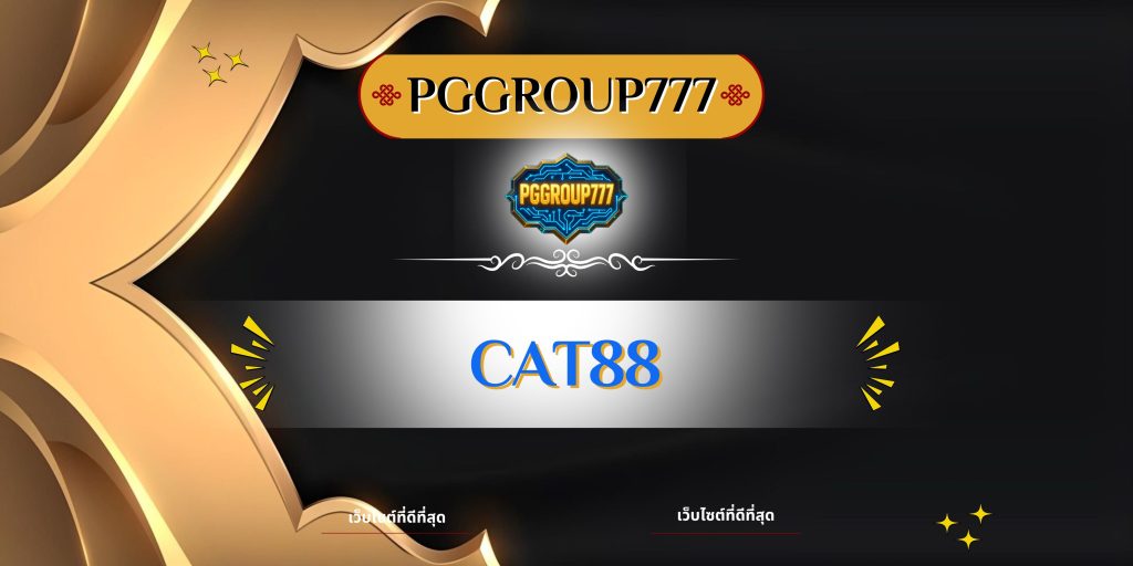 cat888